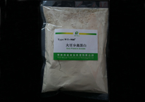 山东WY-900D型大豆分离蛋白